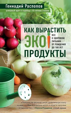 Геннадий Распопов Как вырастить экопродукты. Все о здоровом питании от рождения до 100 лет обложка книги