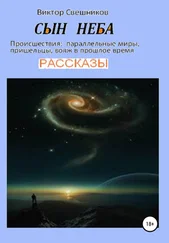 Виктор Свешников - Сын неба