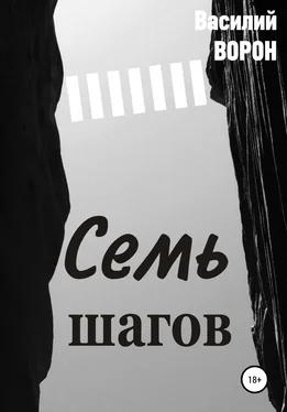 Василий Ворон Семь шагов обложка книги