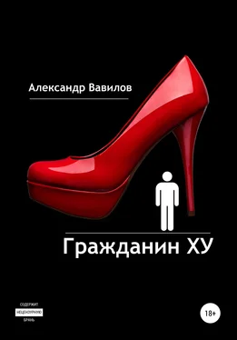 Александр Вавилов Гражданин XY обложка книги