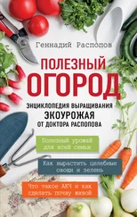 Геннадий Распопов - Полезный огород. Энциклопедия выращивания экоурожая от доктора Распопова