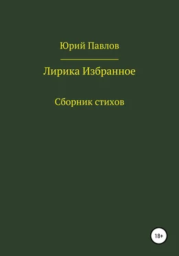 Юрий Павлов Лирика. Избранное обложка книги