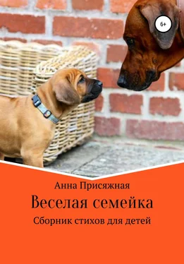 Анна Присяжная Веселая семейка обложка книги