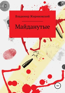 Владимир Жириновский Майданутые обложка книги