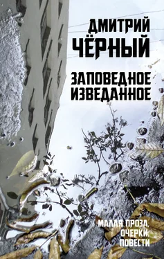Дмитрий Чёрный Заповедное изведанное обложка книги