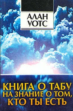 Алан Уотс Книга о табу на знание о том, кто ты обложка книги