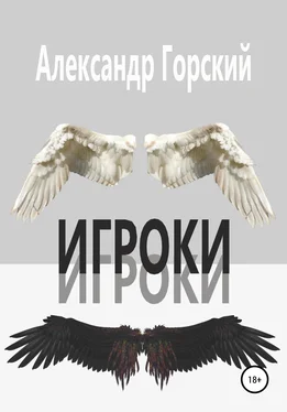 Александр Горский Игроки обложка книги