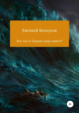 Евгений Белоусов Кто-кто в Черном море живет? обложка книги