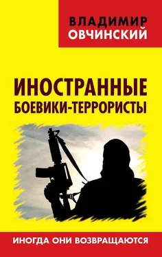 Владимир Овчинский Иностранные боевики-террористы. Иногда они возвращаются обложка книги