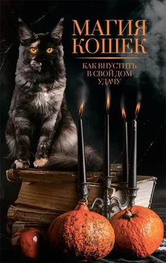 Нелли Ревенко Магия кошек. Как впустить в свой дом удачу обложка книги
