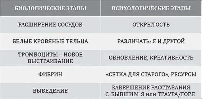 Рис 14 Последний этап 5 этап выведение эвакуация лейкоцитов в форме - фото 14