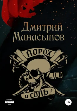 Дмитрий Манасыпов Порох и соль обложка книги