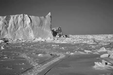 Мир полярного владыки Однако в Гренландии а также Канаде и США охота на - фото 4