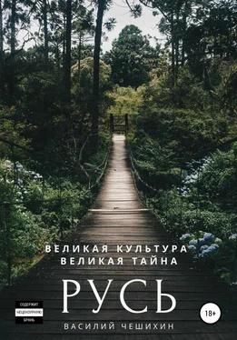 Василий Чешихин Русь обложка книги