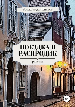 Александр Князев Поездка в Распродик обложка книги