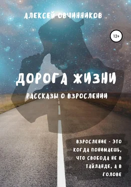 Алексей Овчинников Дорога жизни обложка книги
