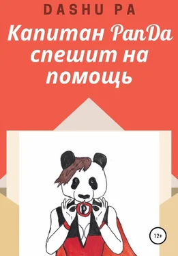 Dashu Pa Капитан PanDa спешит на помощь обложка книги