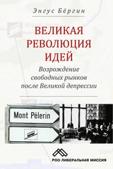 Энгус Бёргин - Великая революция идей. Возрождение свободных рынков после Великой депрессии