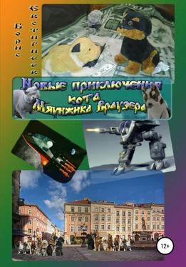 Борис Евстигнеев Новые приключения кота Мяунжика Враузера обложка книги