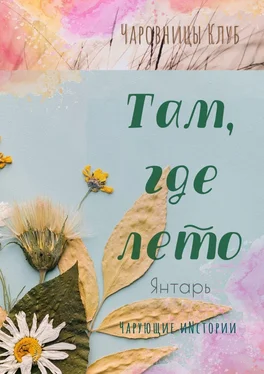 Александра Семенова Там, где лето. Янтарь обложка книги