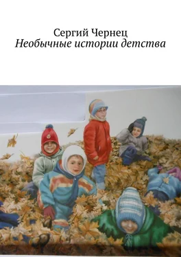 Сергий Чернец Необычные истории детства обложка книги
