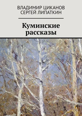 Владимир Циканов Куминские рассказы обложка книги