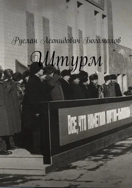 Руслан Богомолов Штурм обложка книги