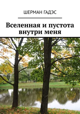 Шерман Гадэс Вселенная и пустота внутри меня обложка книги