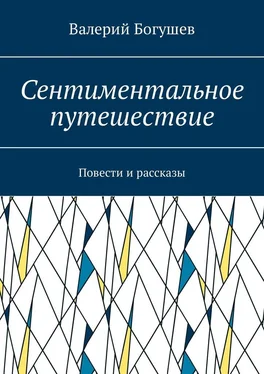 Валерий Богушев Сентиментальное путешествие. Повести и рассказы обложка книги