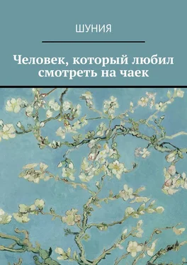 Шуния Человек, который любил смотреть на чаек обложка книги