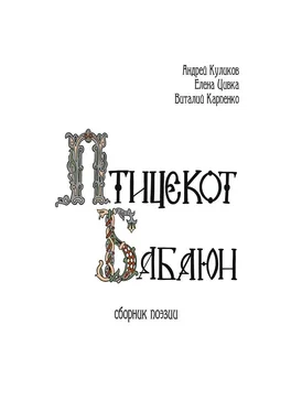 Елена Цивка Птицекот Бабаюн. Сборник поэзии обложка книги