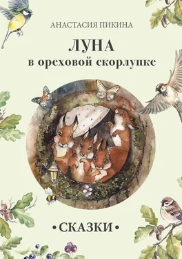 Анастасия Пикина Луна в ореховой скорлупке обложка книги