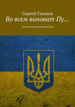 Сергей Глазков Во всем виноват Пу… Записки бывшего майдановца обложка книги