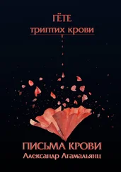 Александр Агамальянц - Письма крови. Гёте. Триптих крови