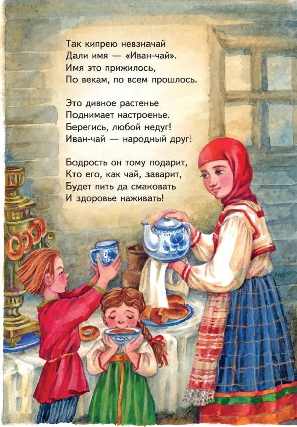 Двенадцатый бабушкин рассказ Цикорий и Цикоревна - фото 34