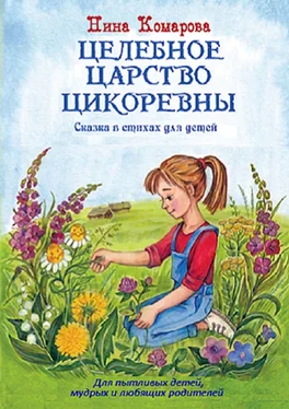 Нина Комарова Целебное царство Цикоревны обложка книги