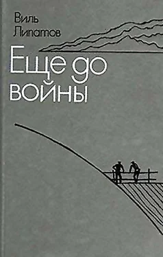 Виль Липатов Еще до войны. Серая мышь обложка книги