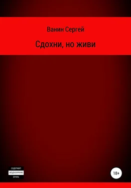 Сергей Ванин Сдохни, но живи обложка книги