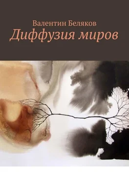 Валентин Беляков Диффузия миров обложка книги