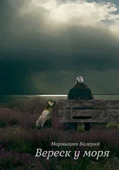 Валерий Мармышев - Вереск у моря