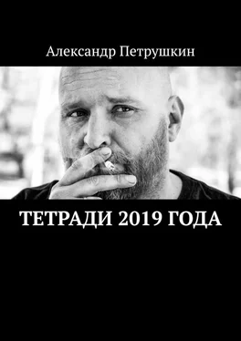 Александр Петрушкин Тетради 2019 года обложка книги