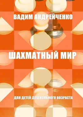 Вадим Андрейченко Шахматный мир. Для детей дошкольного возраста обложка книги