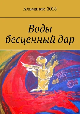 Елена Долгополова Воды бесценный дар обложка книги