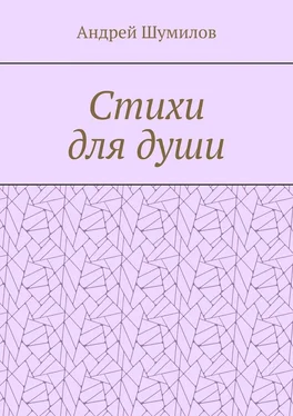 Андрей Шумилов Стихи для души обложка книги