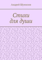 Андрей Шумилов - Стихи для души