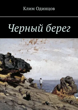 Клим Одинцов Черный берег обложка книги