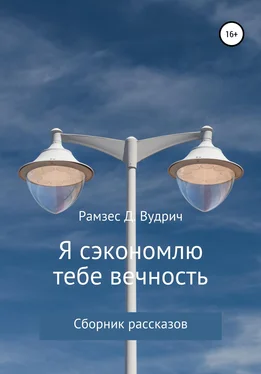 Рамзес Д. Вудрич Я сэкономлю тебе вечность. Сборник рассказов обложка книги