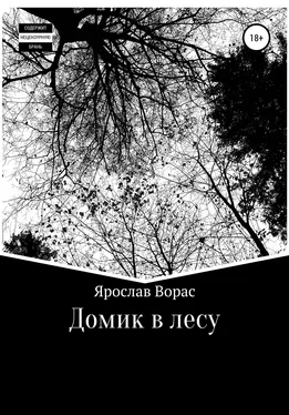Ярослав Ворас Домик в лесу обложка книги