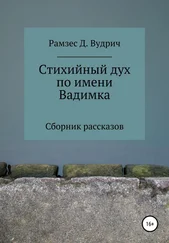 Рамзес Д. Вудрич - Стихийный дух по имени Вадимка. Сборник рассказов