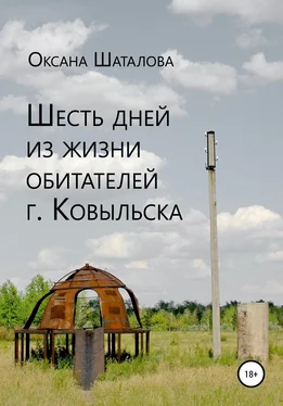 Оксана Шаталова Шесть дней из жизни обитателей г. Ковыльска обложка книги